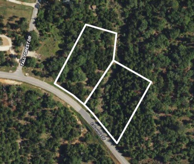 Tbd - Lots 1 & 41 Colovista Drive Bastrop TX 78602