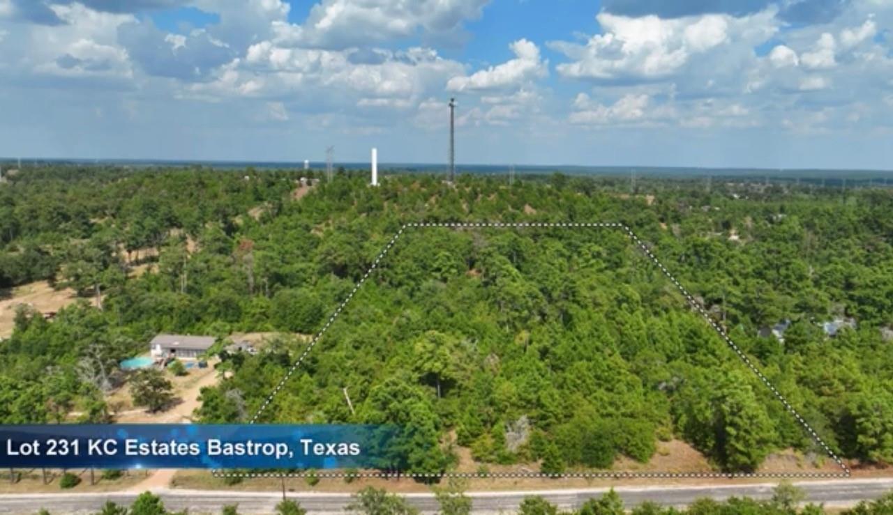 Tbd Pine Tree Loop Bastrop TX 78602
