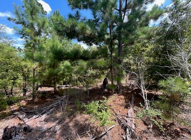 Tbd Pine Tree Loop Bastrop TX 78602