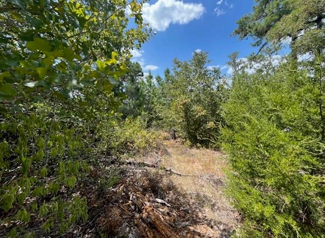 Tbd Pine Tree Loop Bastrop TX 78602