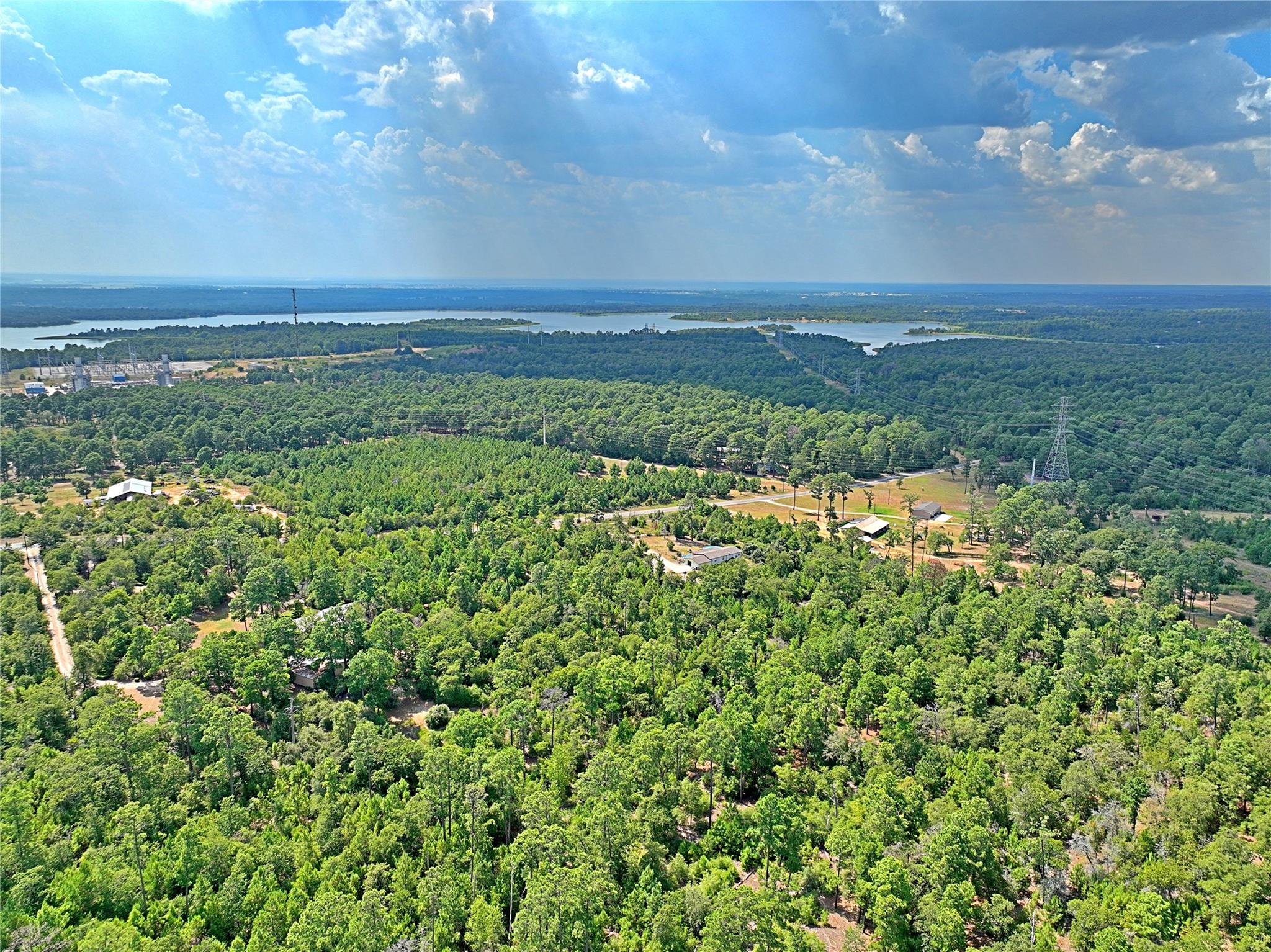 Tbd Pine Tree Loop Bastrop TX 78602