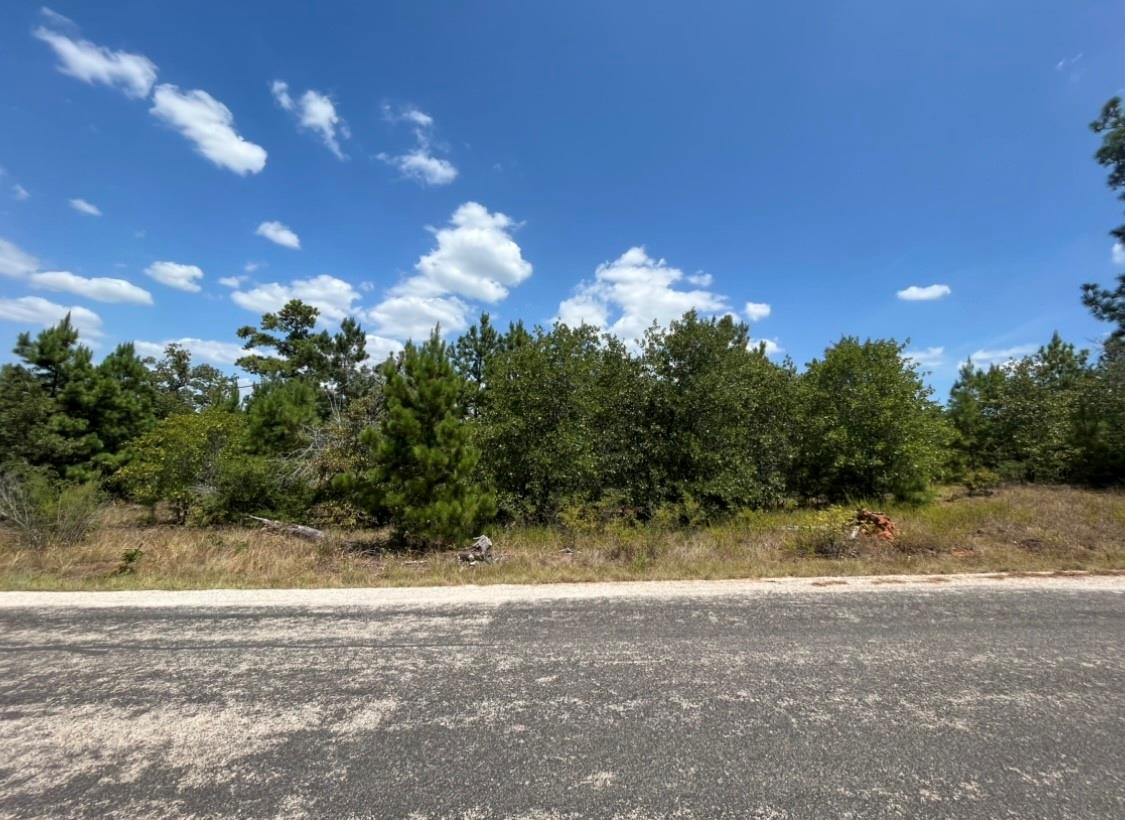 Tbd Pine Tree Loop Bastrop TX 78602