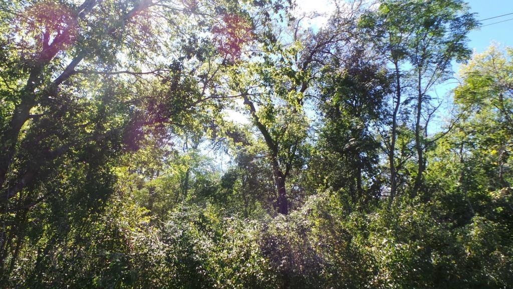 277 Fm 672 Dale TX 78616