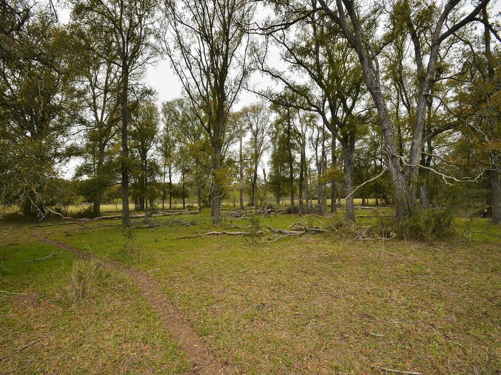 277 Fm 672 Dale TX 78616