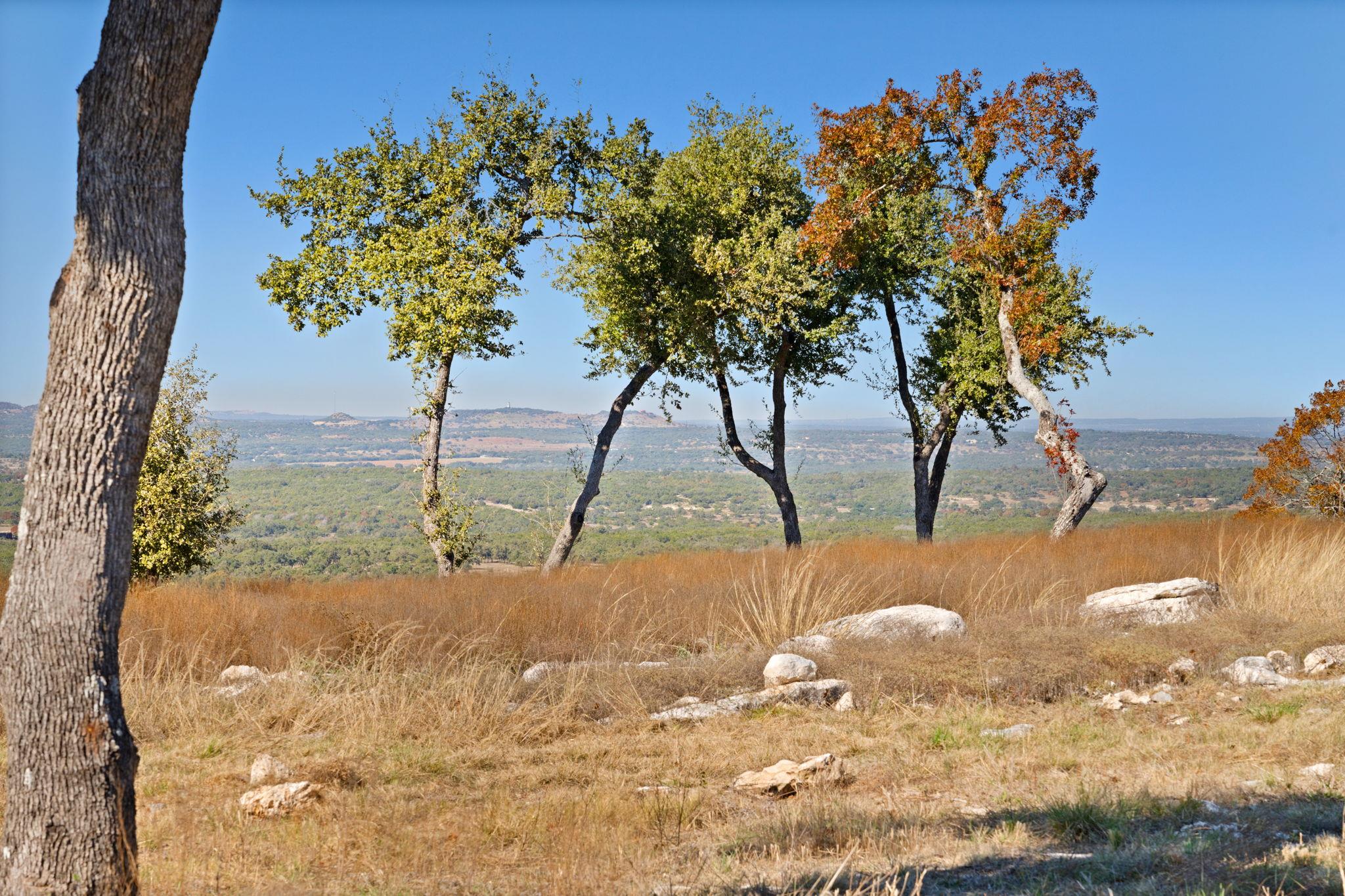 3300 Fm 165 - Lot 13a Dripping Springs TX 78620