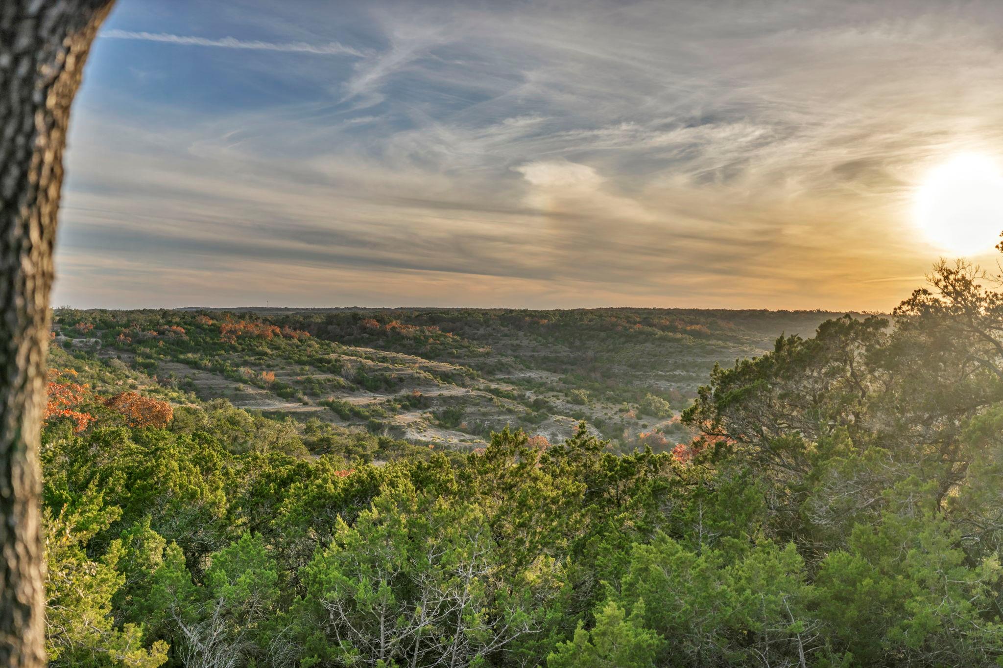 3300 Fm 165 - Lot 13a Dripping Springs TX 78620