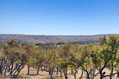 3300 Fm 165 - Lot 13a Dripping Springs TX 78620