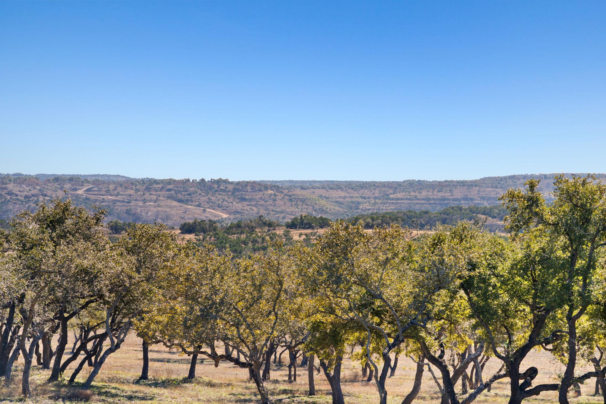 3300 Fm 165 - Lot 13a Dripping Springs TX 78620