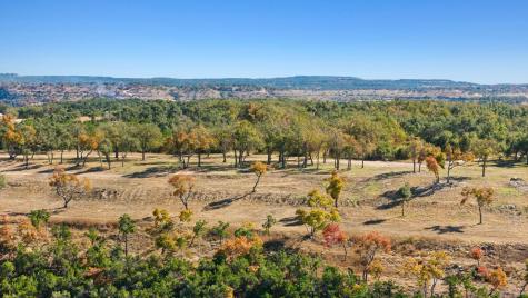 3300 Fm 165 - Lot 13a Dripping Springs TX 78620