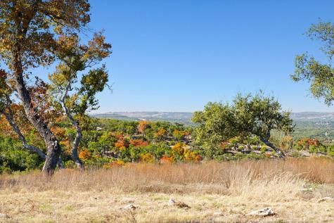 3300 Fm 165 - Lot 13a Dripping Springs TX 78620