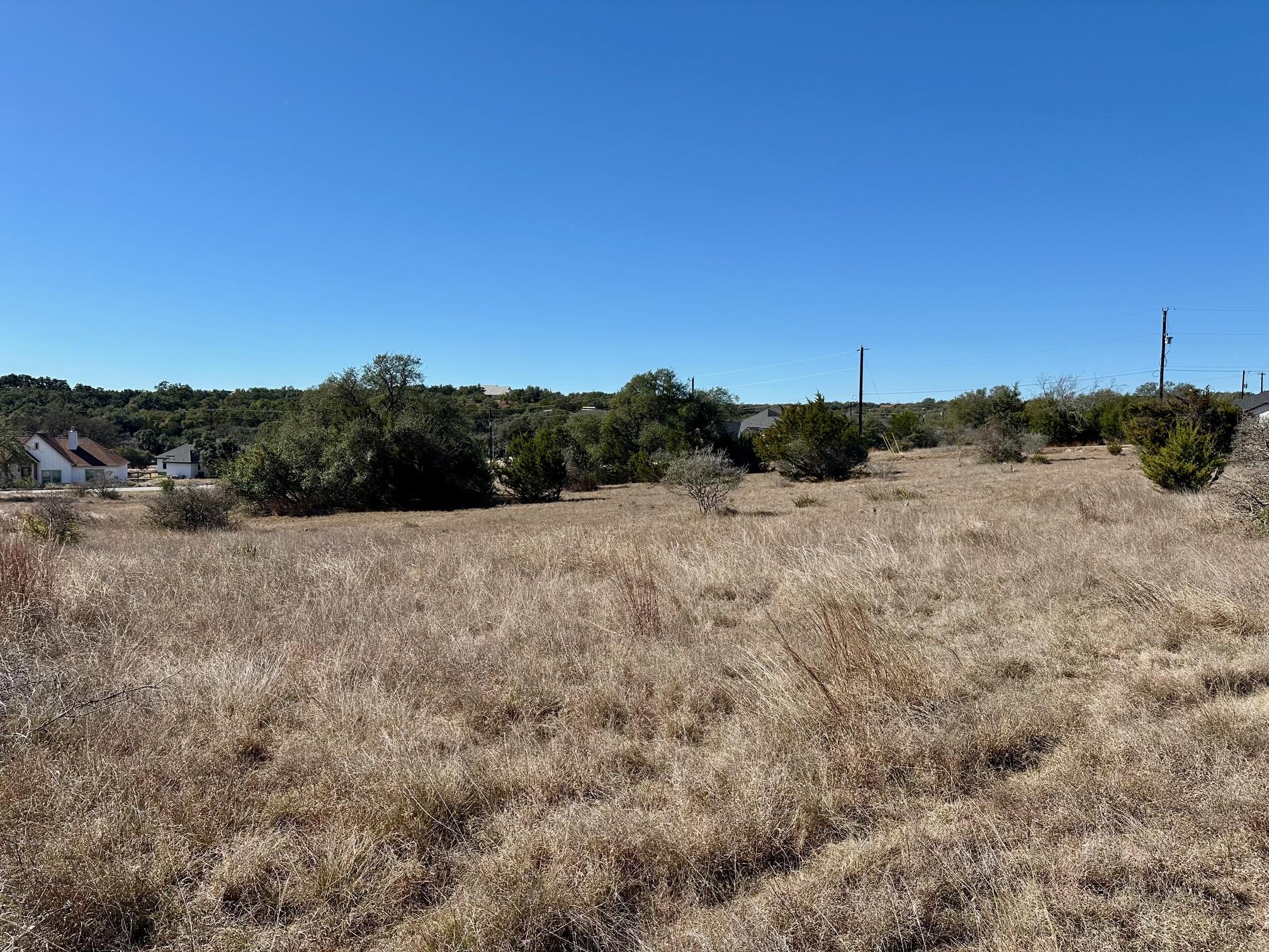 110 Alf Hunter Blanco TX 78606
