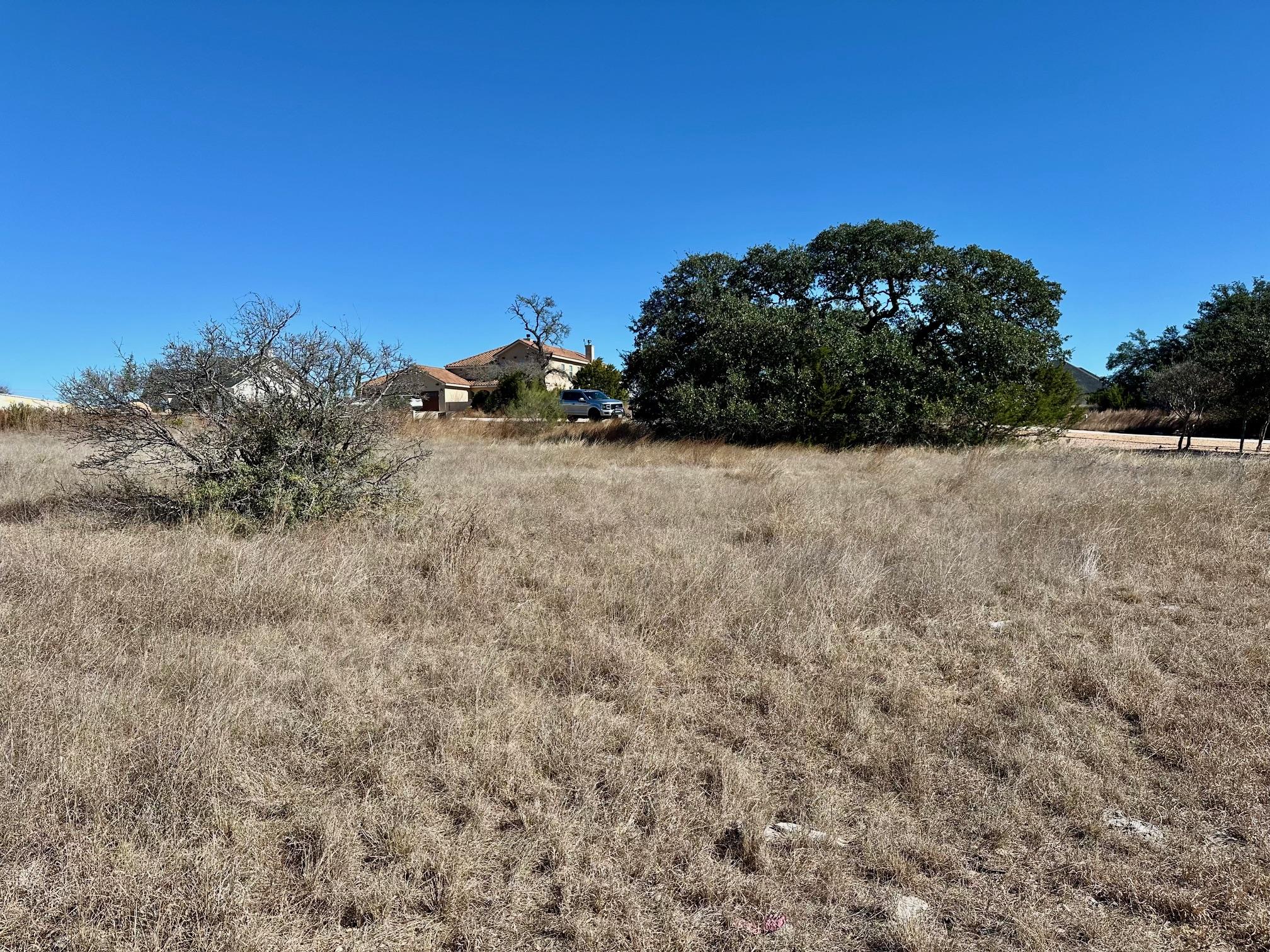 110 Alf Hunter Blanco TX 78606