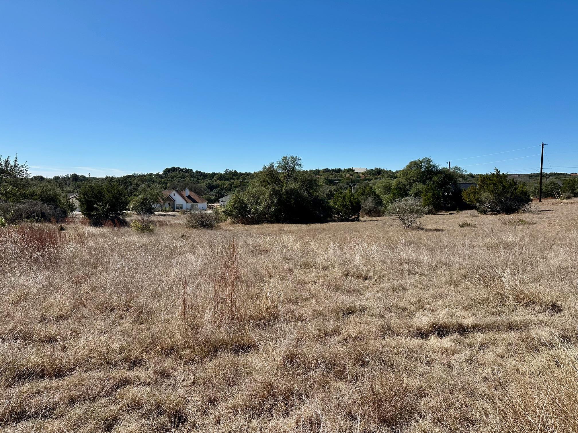 110 Alf Hunter Blanco TX 78606