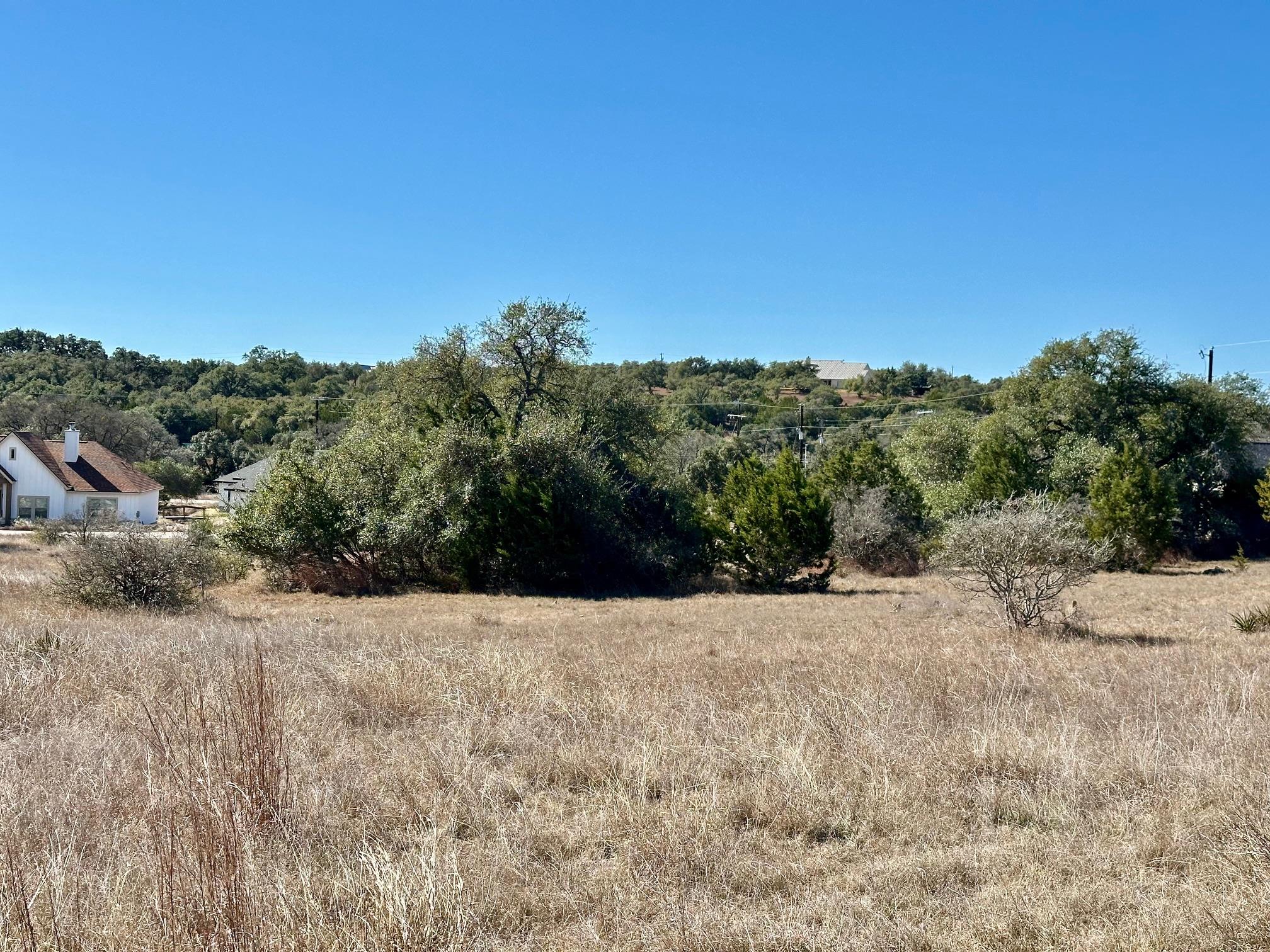 110 Alf Hunter Blanco TX 78606