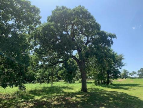 258 Colovista Parkway Bastrop TX 78602