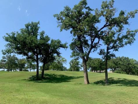258 Colovista Parkway Bastrop TX 78602