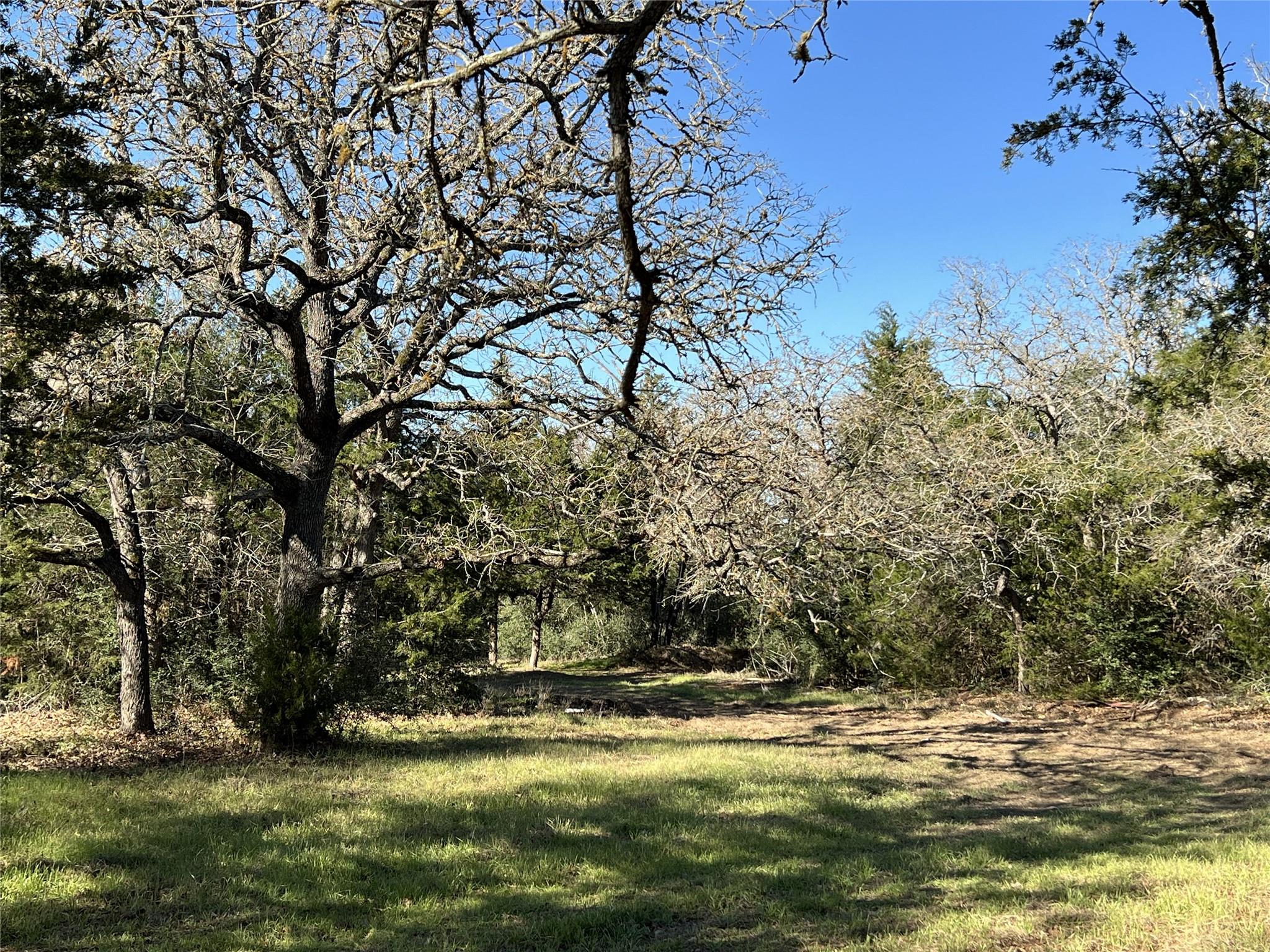 Tbd Rosanky Cattle Company Road Rosanky TX 78953