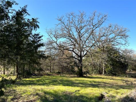 Tbd Rosanky Cattle Company Road Rosanky TX 78953