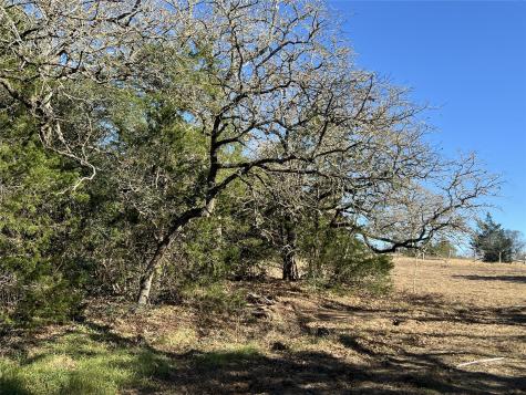 Tbd Rosanky Cattle Company Road Rosanky TX 78953
