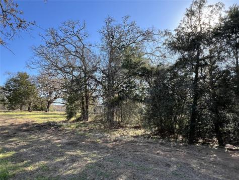 Tbd Rosanky Cattle Company Road Rosanky TX 78953