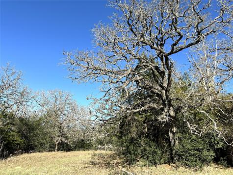 Tbd Rosanky Cattle Company Road Rosanky TX 78953