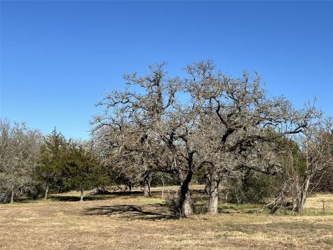 Tbd Rosanky Cattle Company Road Rosanky TX 78953