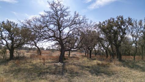 100 S Waterbuck Way Lampasas TX 76550
