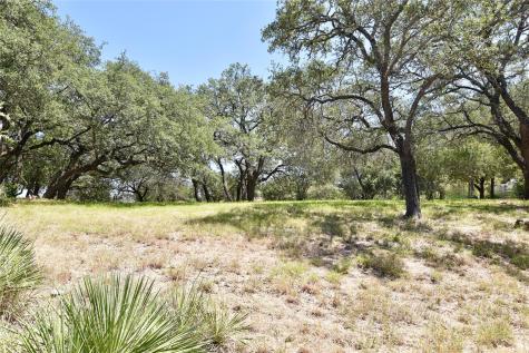 2802 Marina Shores Drive Spicewood TX 78669