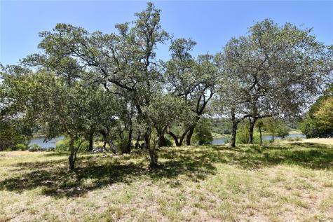 2802 Marina Shores Drive Spicewood TX 78669