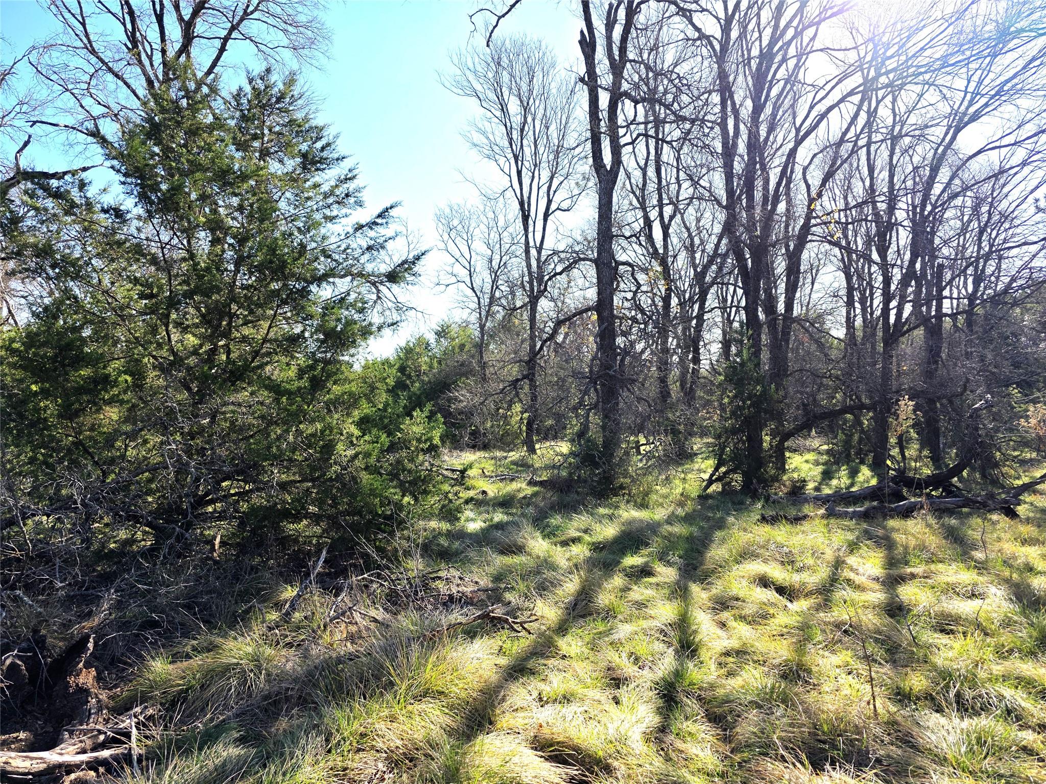Tbd Private Road 4218 Evant TX 76525