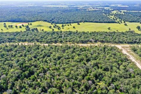 1136 Oak View Lane Thrall TX 76578