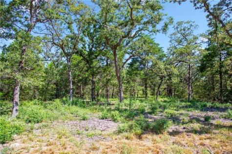 1136 Oak View Lane Thrall TX 76578