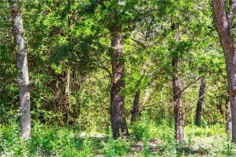 1136 Oak View Lane Thrall TX 76578