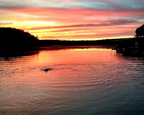 26809 Blue Cove Road Blue Cove Road Marble Falls TX 78654