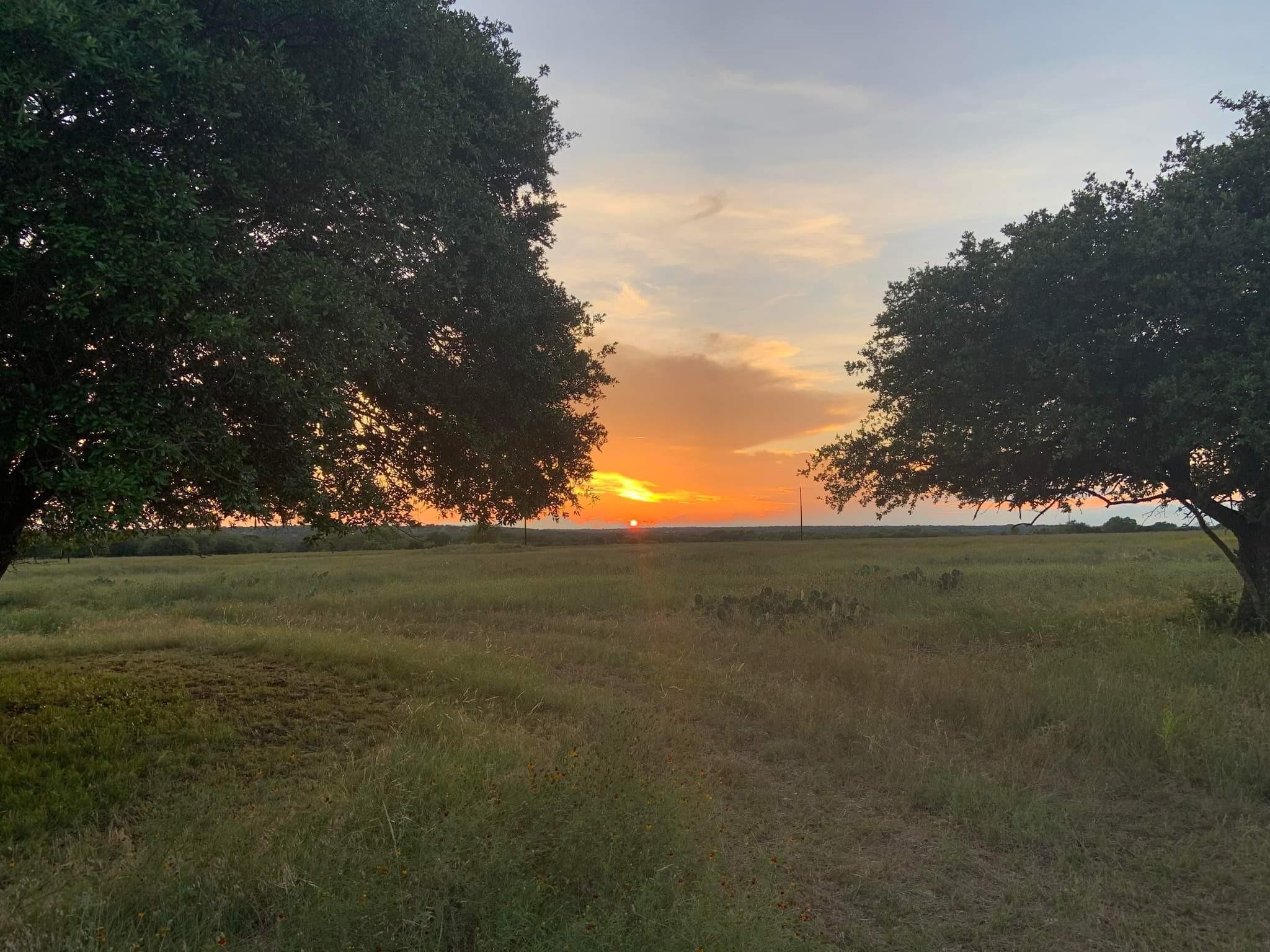 153 High Point Drive Kempner TX 76539