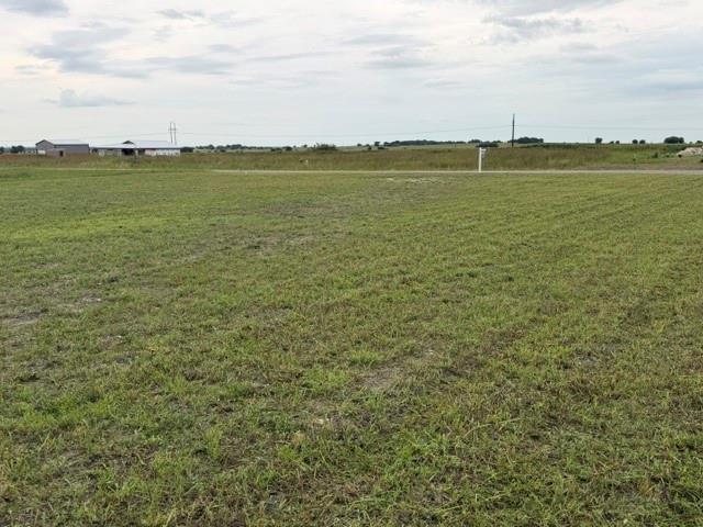 1178 Saltgrass Drive Salado TX 76571