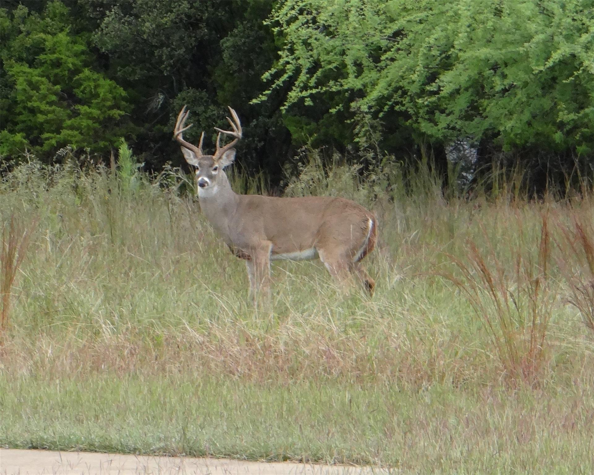 424 (Lot 234) Coventry Road Spicewood TX 78669