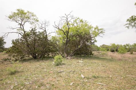 Lot 23 Shin Oak Drive Lampasas TX 76550