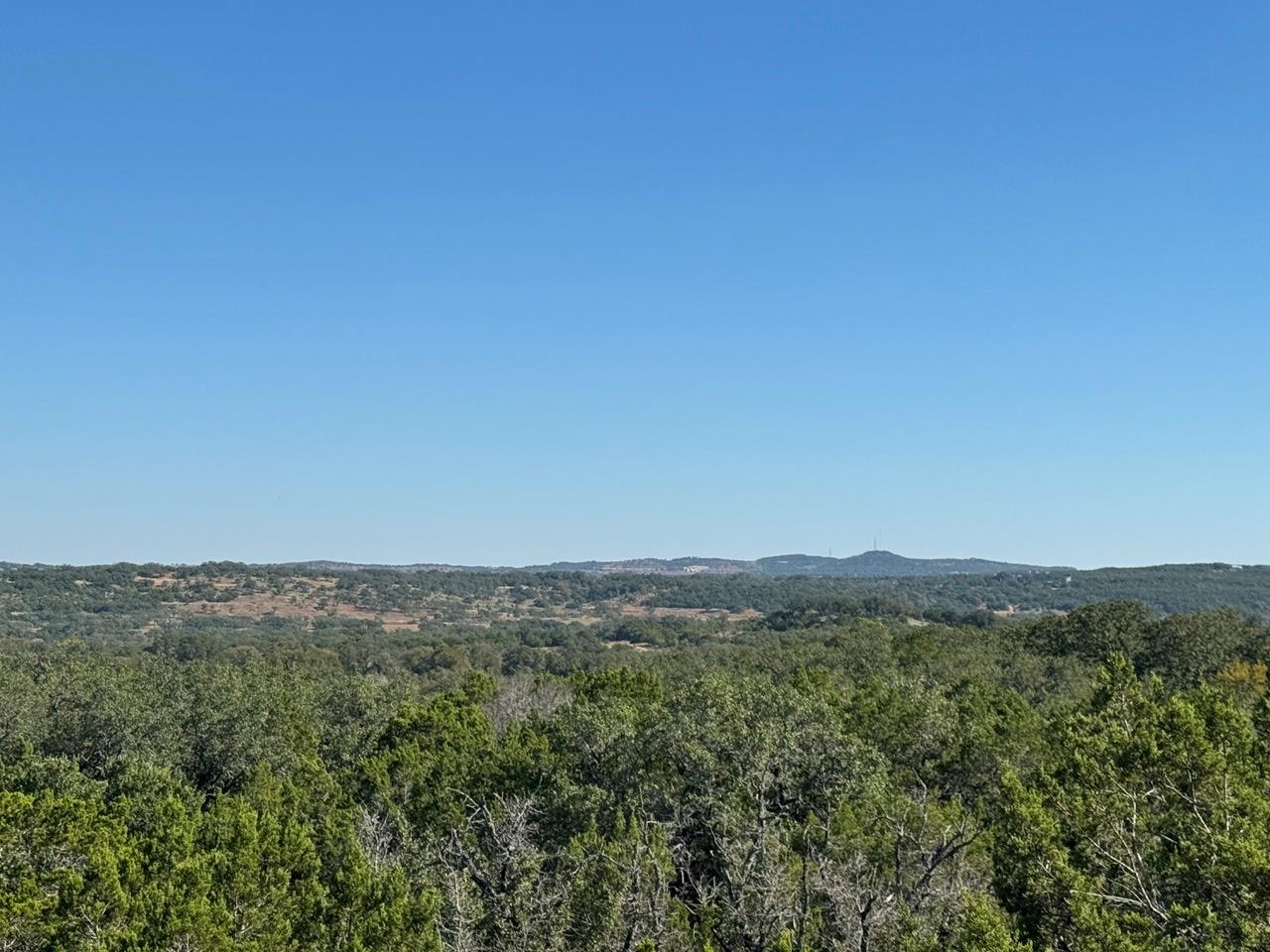 25723 Hamilton Pool Road Round Mountain TX 78654