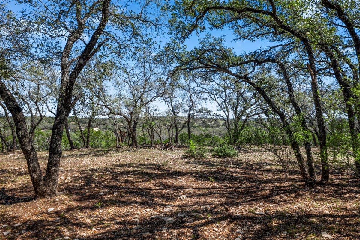 25723 Hamilton Pool Road Round Mountain TX 78654