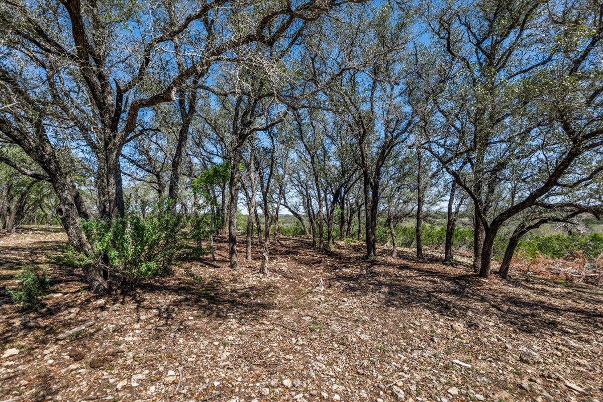 25723 Hamilton Pool Road Round Mountain TX 78654