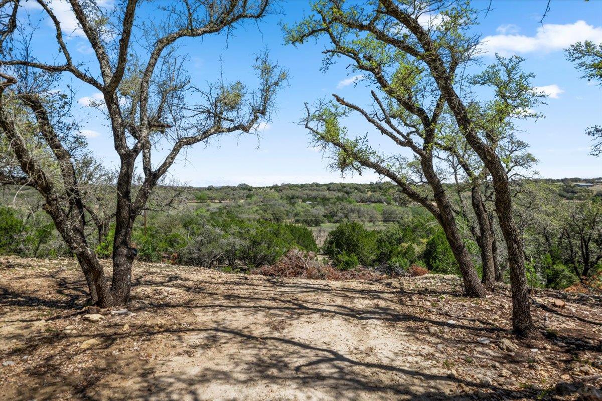 25723 Hamilton Pool Road Round Mountain TX 78654
