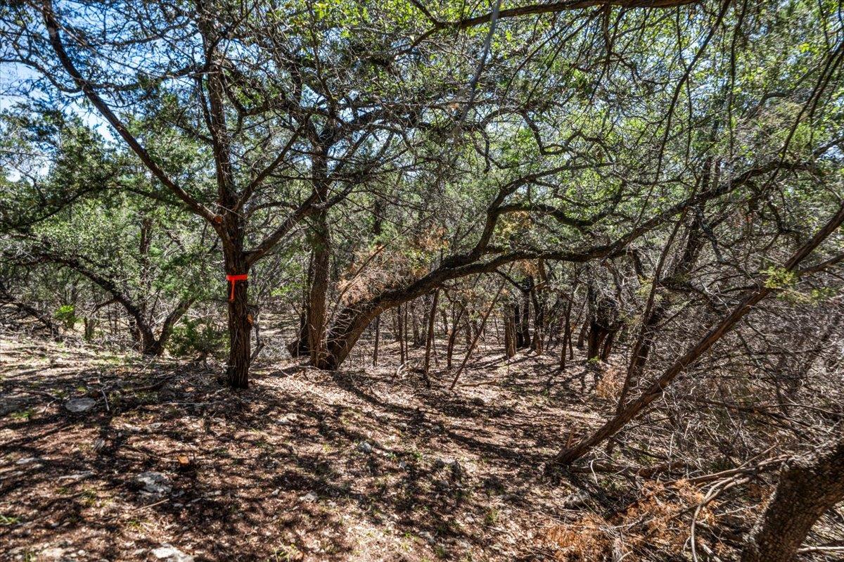 25723 Hamilton Pool Road Round Mountain TX 78654