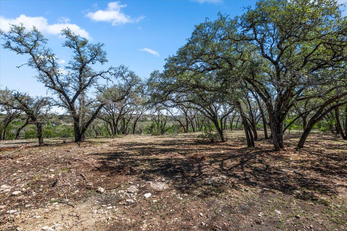 25723 Hamilton Pool Road Round Mountain TX 78654