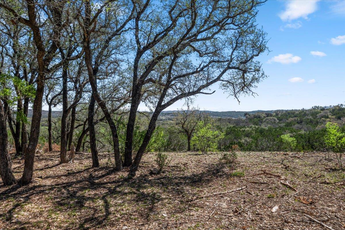 25723 Hamilton Pool Road Round Mountain TX 78654