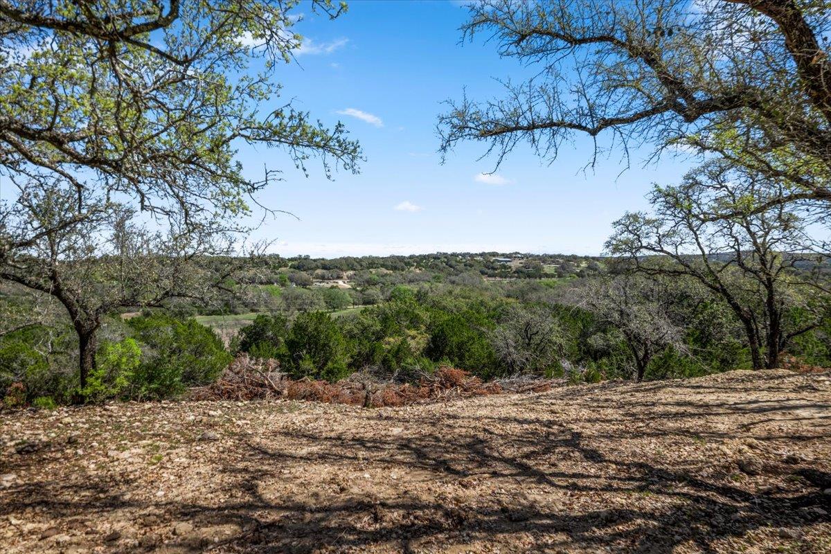 25723 Hamilton Pool Road Round Mountain TX 78654