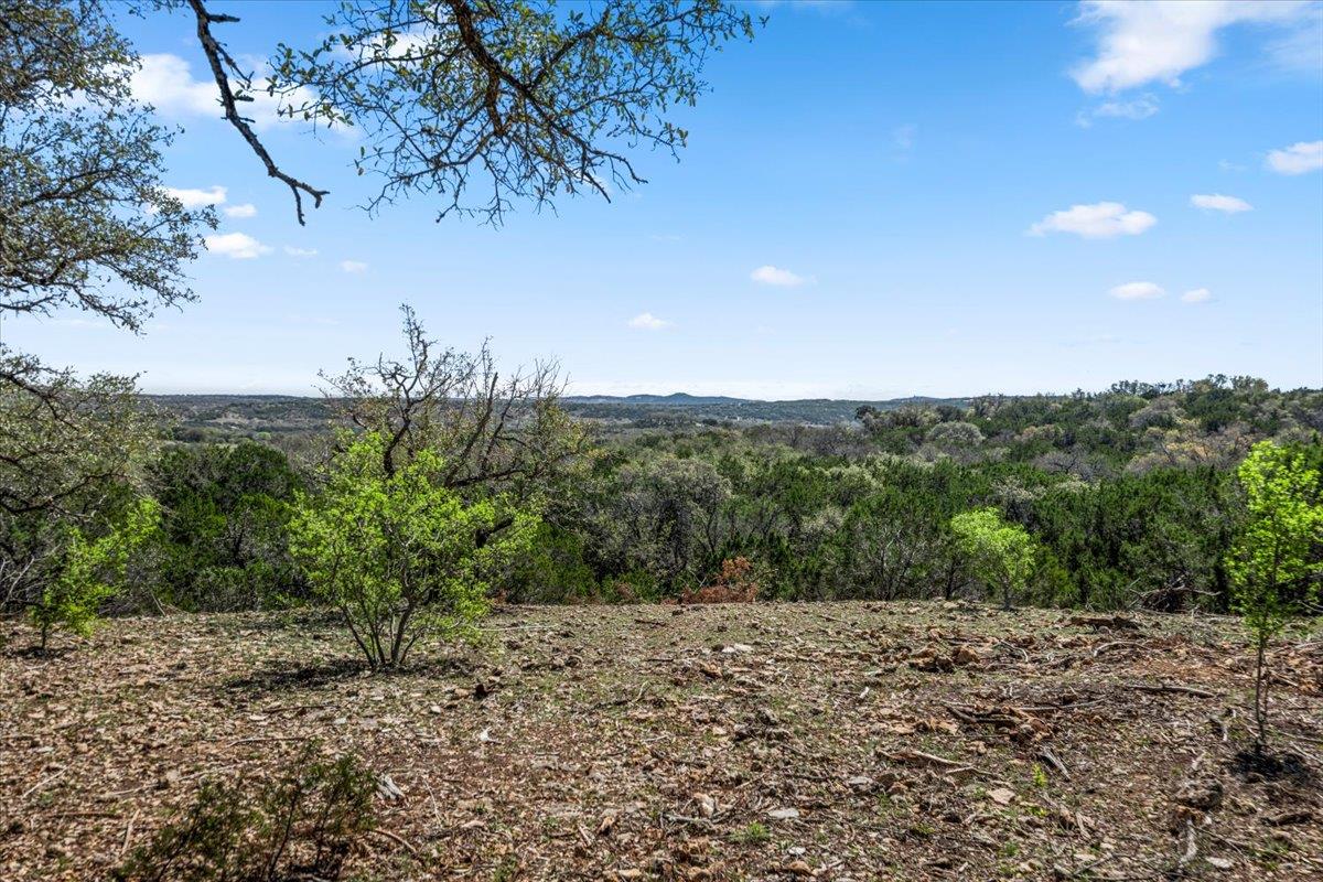 25723 Hamilton Pool Road Round Mountain TX 78654