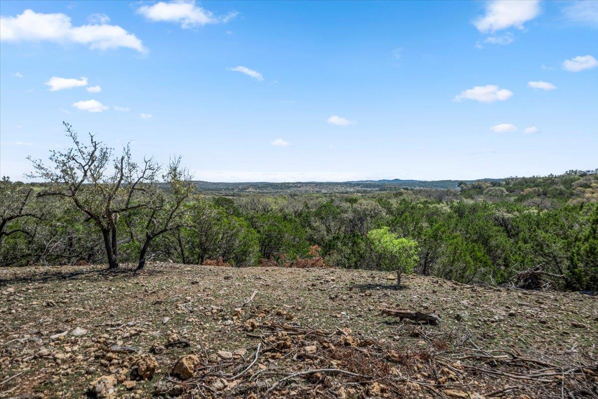 25723 Hamilton Pool Road Round Mountain TX 78654