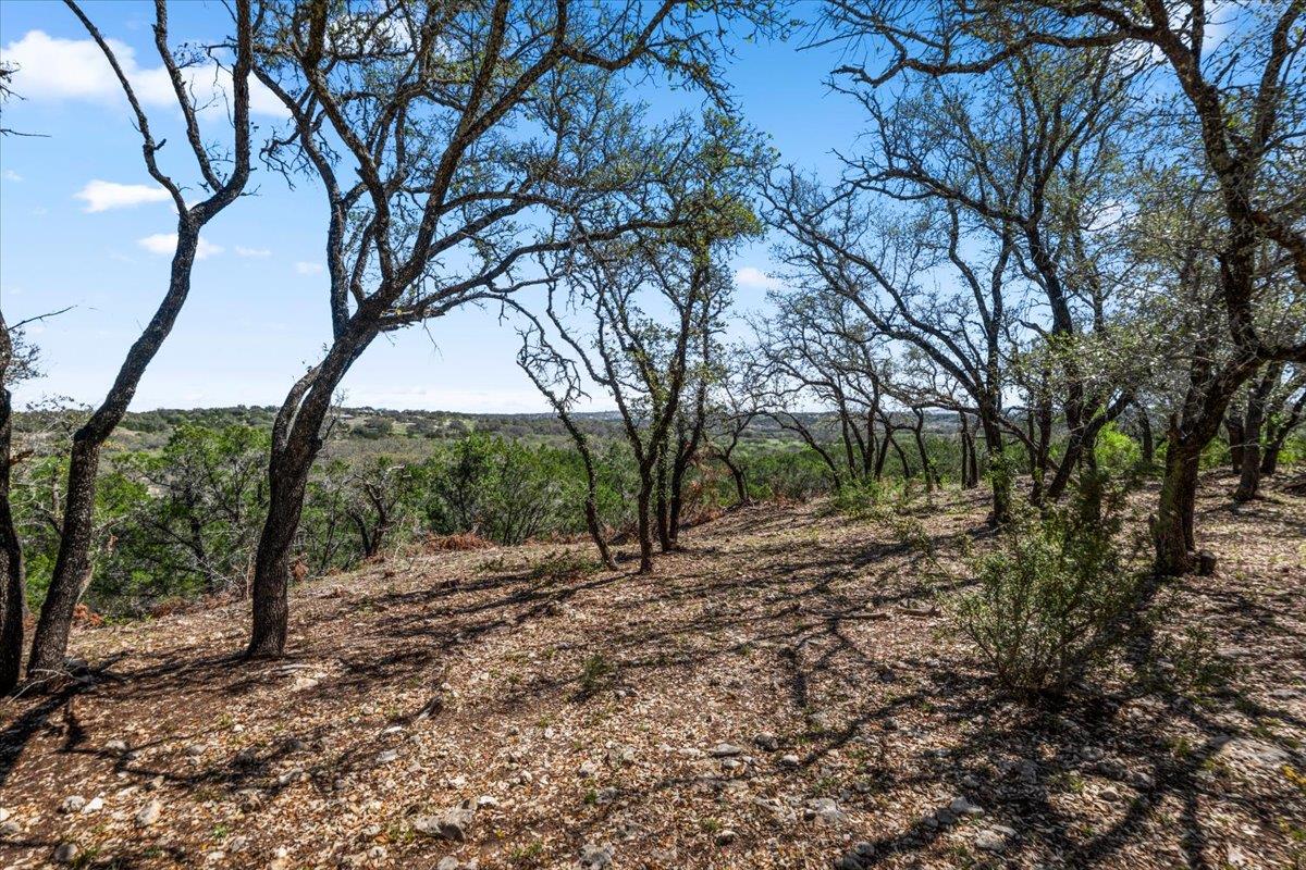 25723 Hamilton Pool Road Round Mountain TX 78654