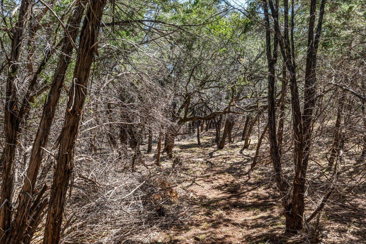 25723 Hamilton Pool Road Round Mountain TX 78654